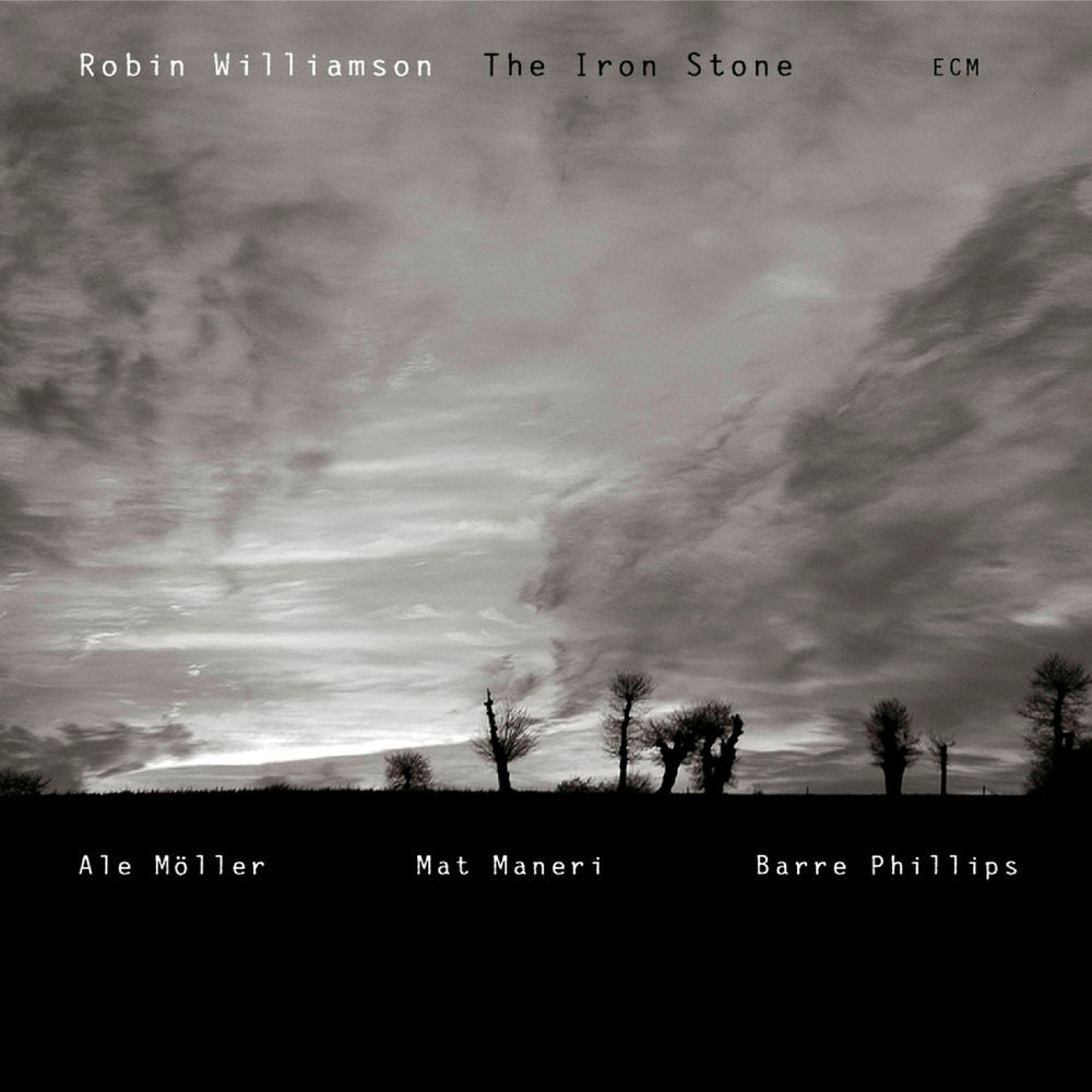 Iron Stone cover