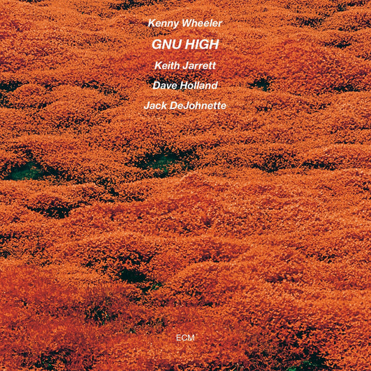 Gnu High [LP] cover