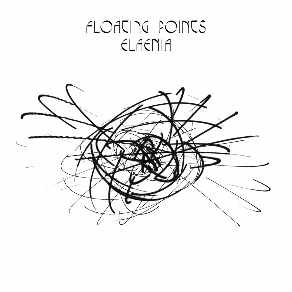 Elaenia cover