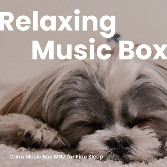 Music For Relaxing cover