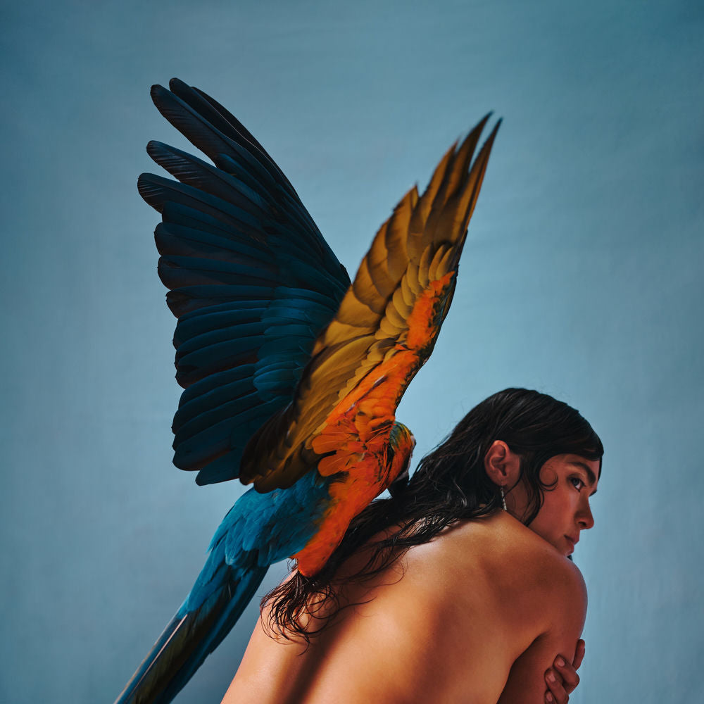 Malegria cover