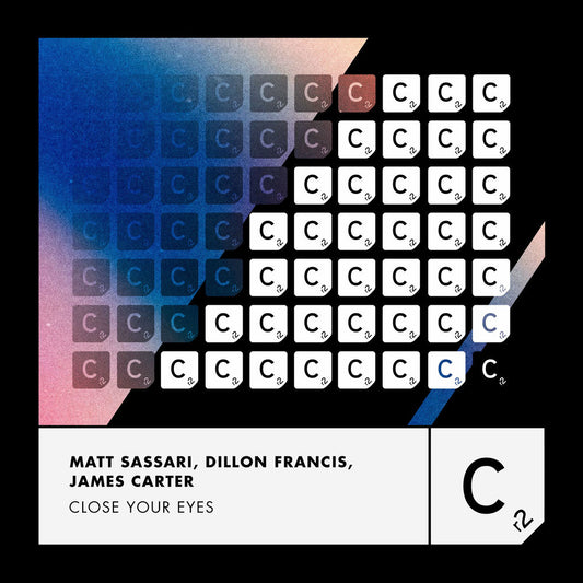 Closer cover