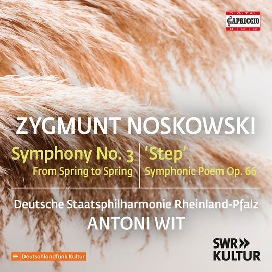 Zygmunt Noskowski: Symphony No. 3 cover