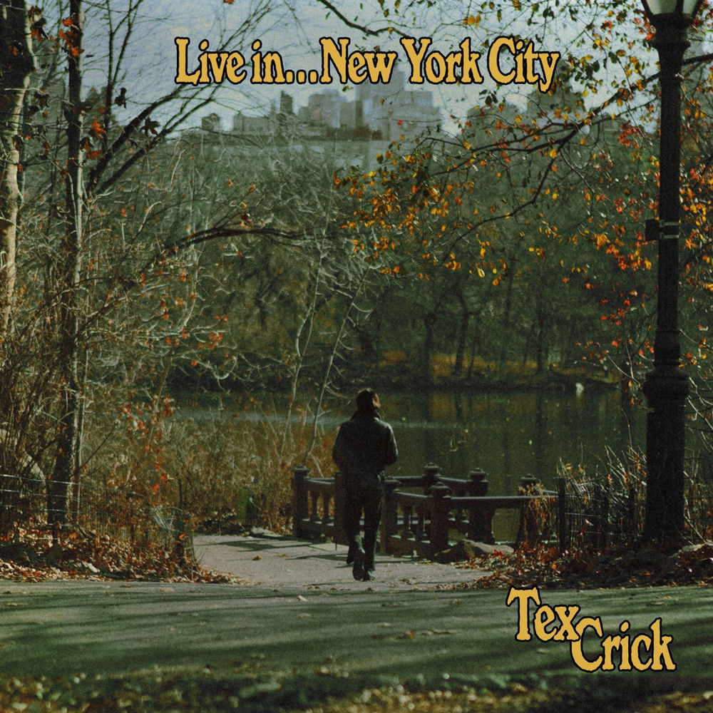 Live in New York City cover