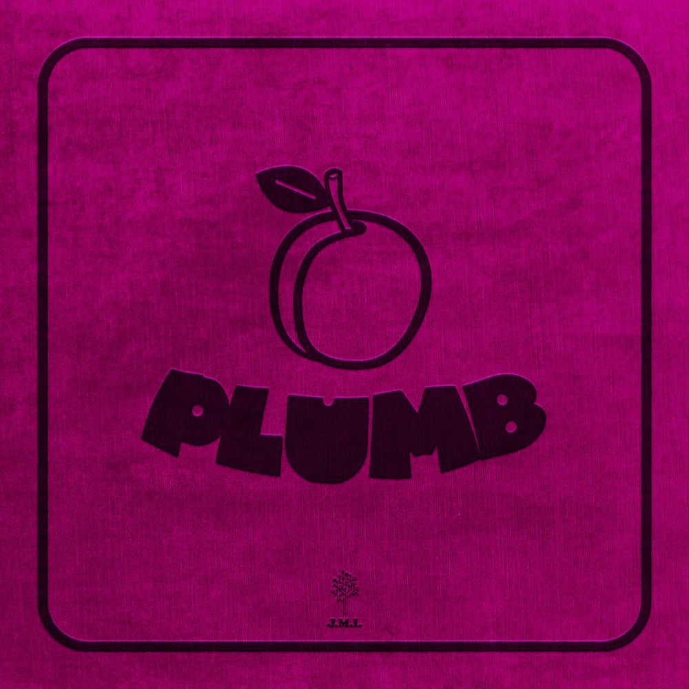 Plumb cover