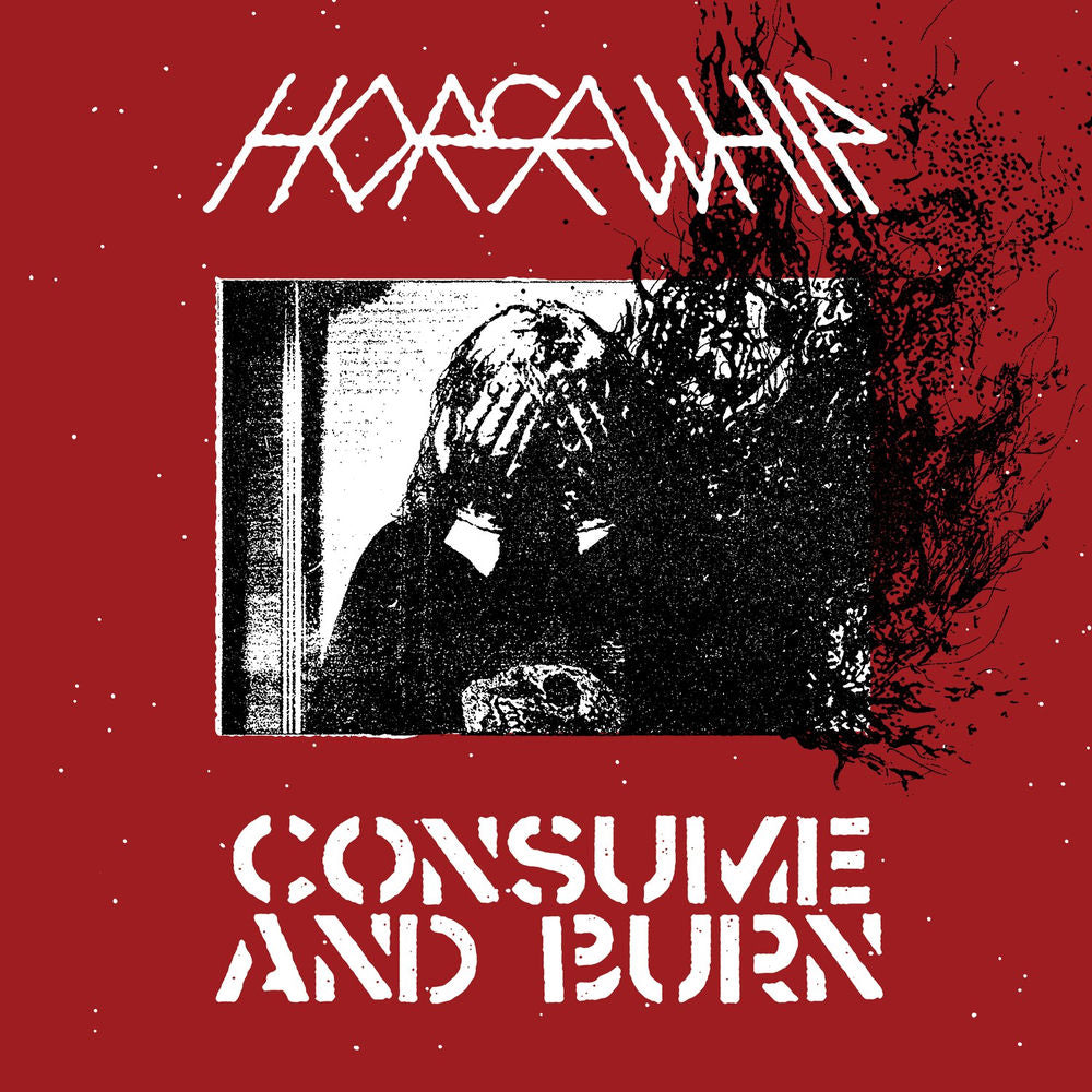 Consume and Burn cover