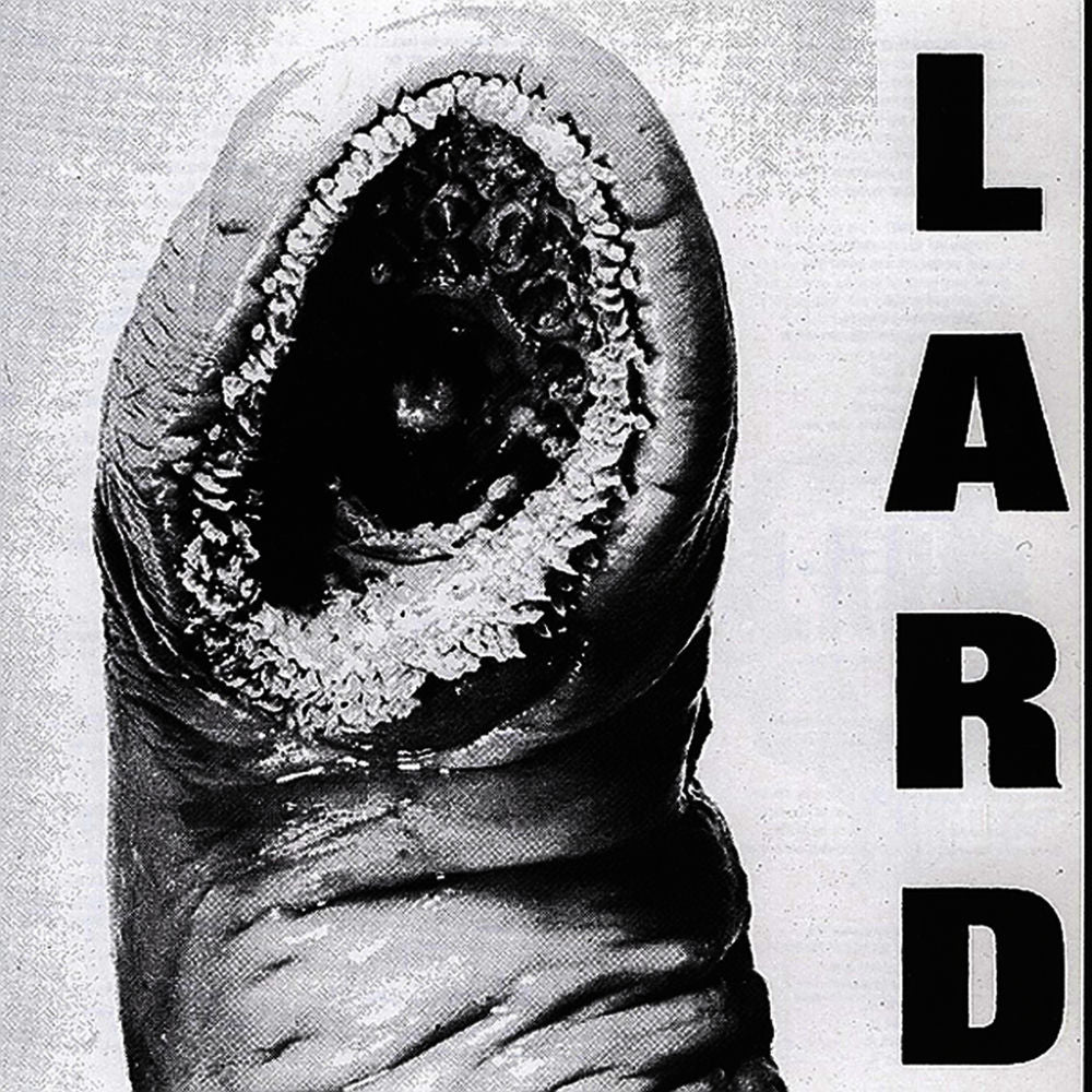 Power of Lard cover
