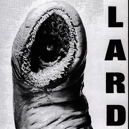 Power of Lard cover