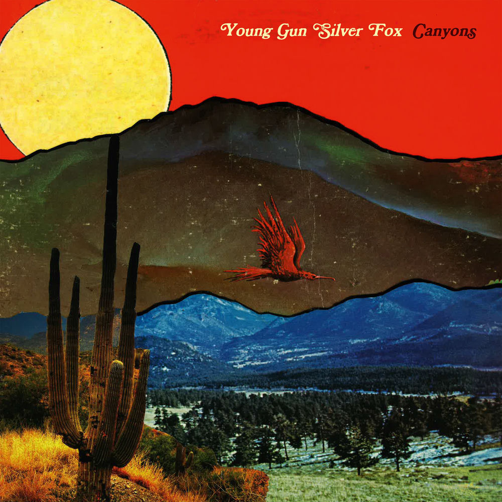 Canyons cover