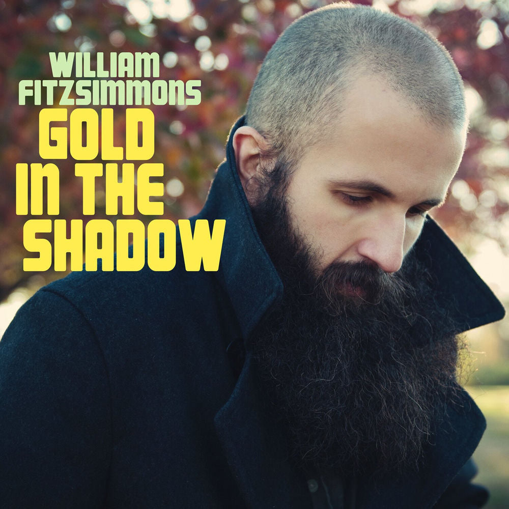 Gold in the Shadow cover