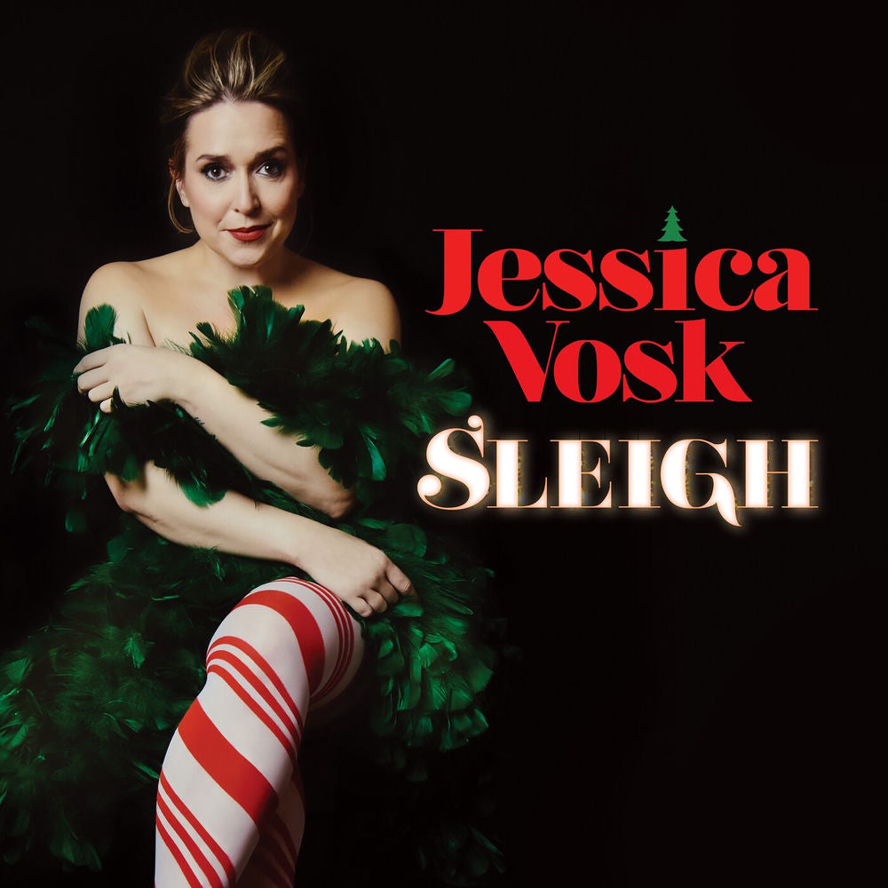 SLEIGH cover