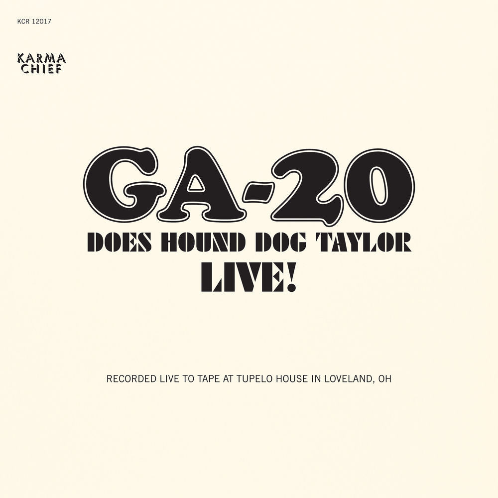 Does Hound Dog Taylor cover