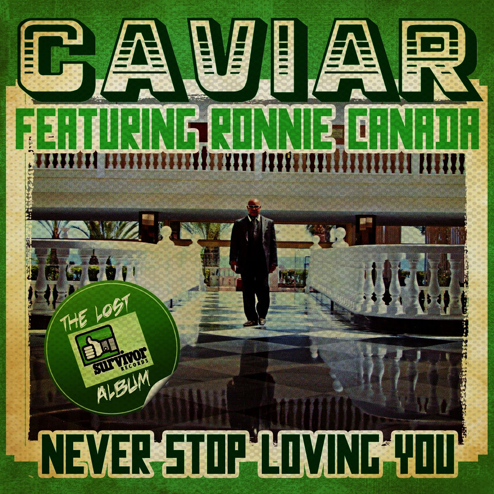 Never Stop Loving You cover
