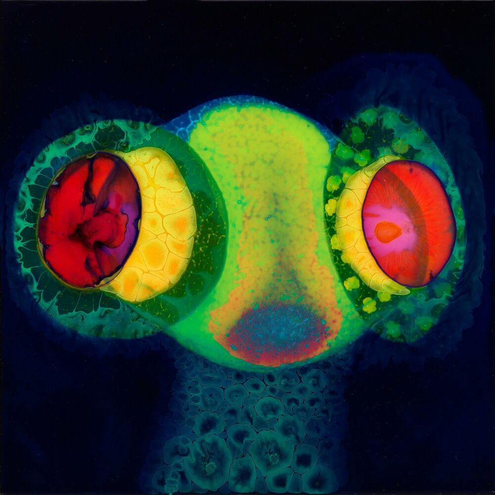 Sorcs 80 cover