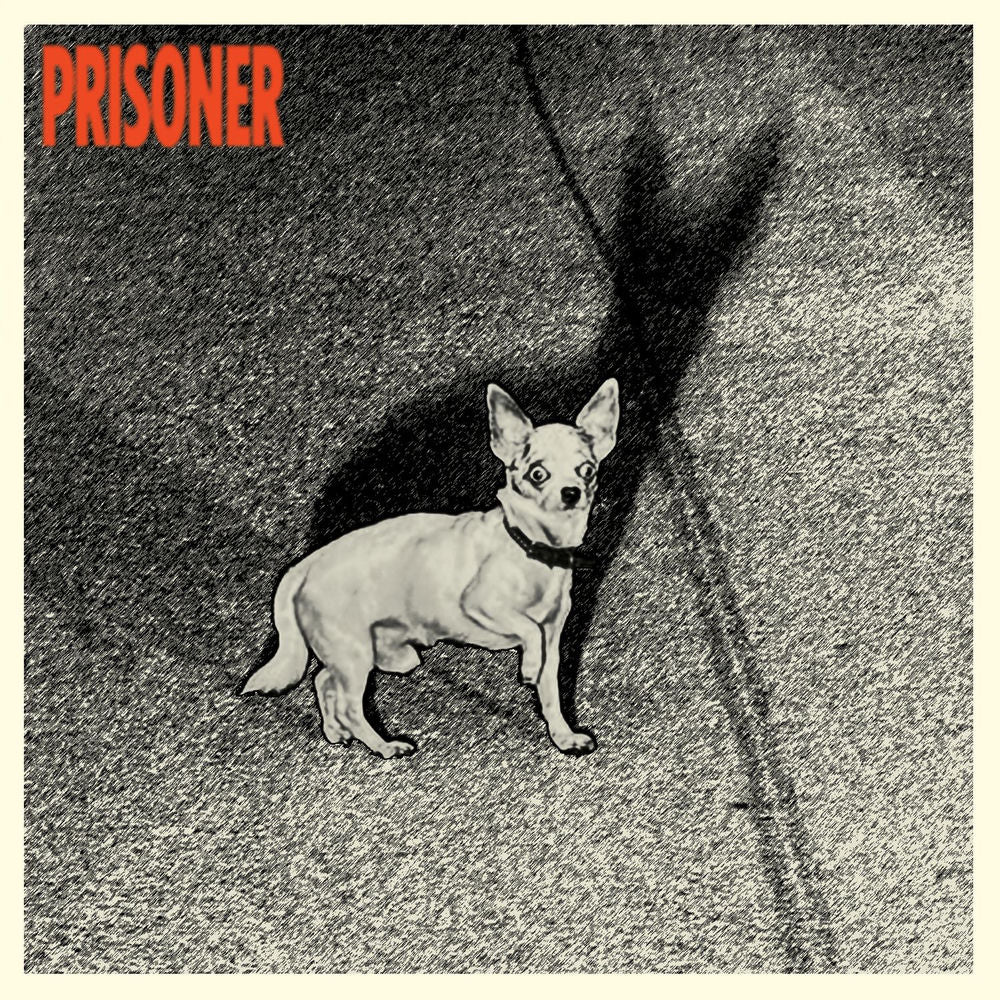 Prisoner cover
