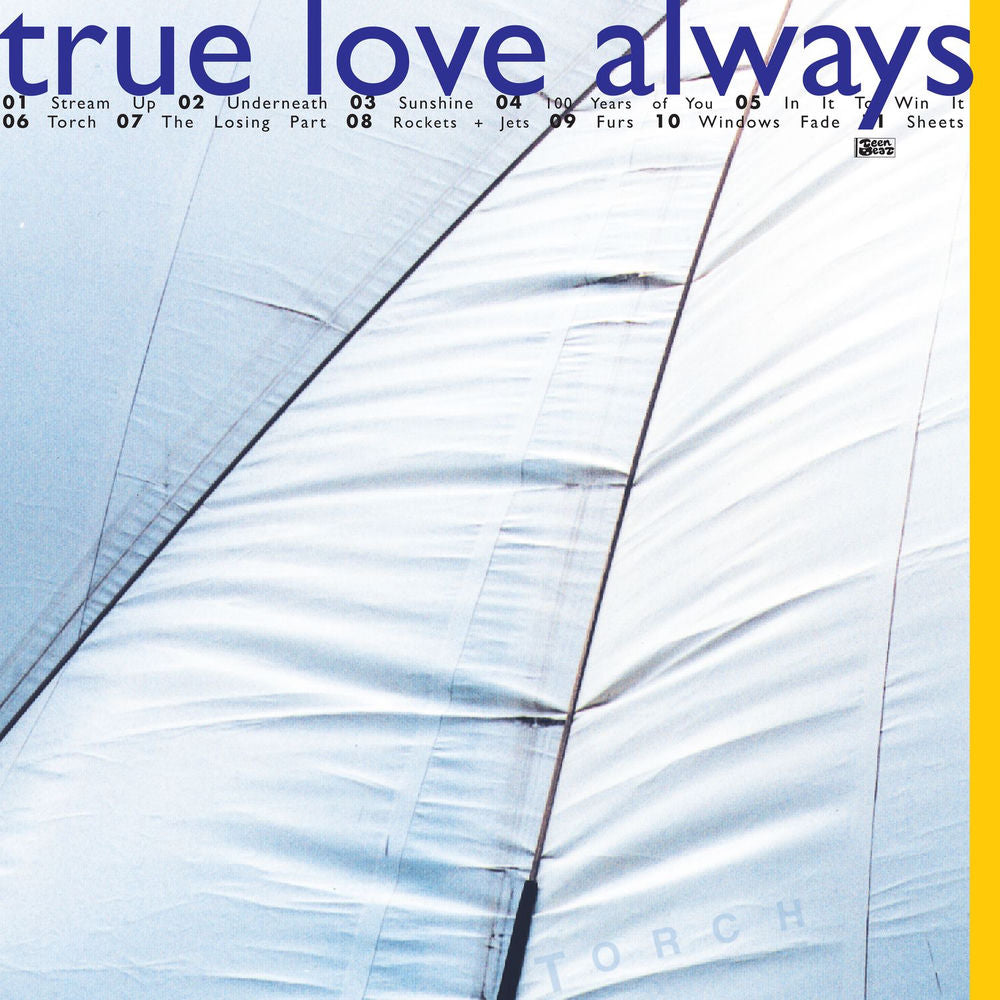 Torch cover