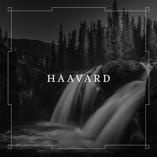 Haavard cover