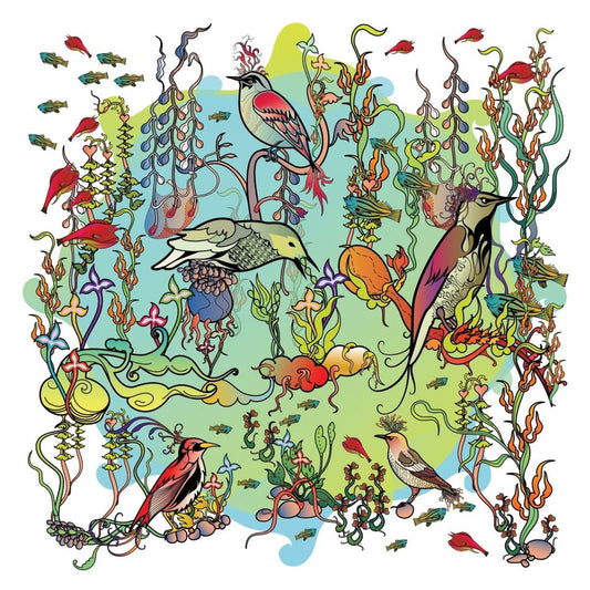 O'o cover
