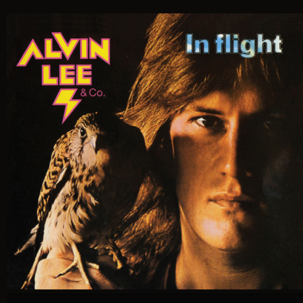 In Flight cover