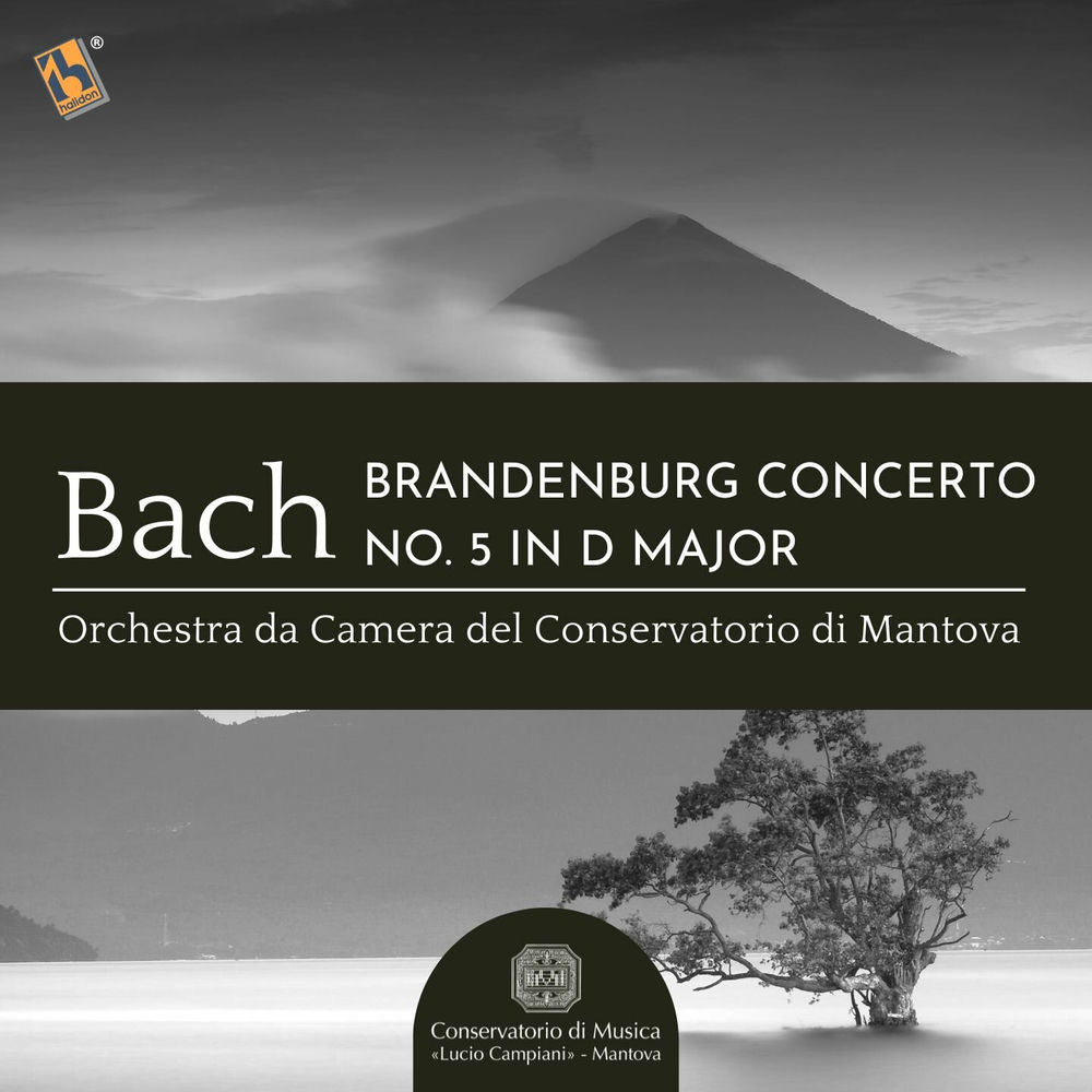 Brandenburg Concerto No. 5 in D Major, BWV 1050 (Remastered) cover