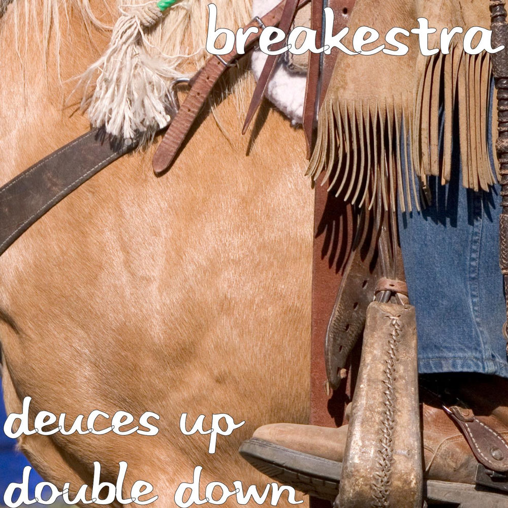 Deuces Up, Double Down cover