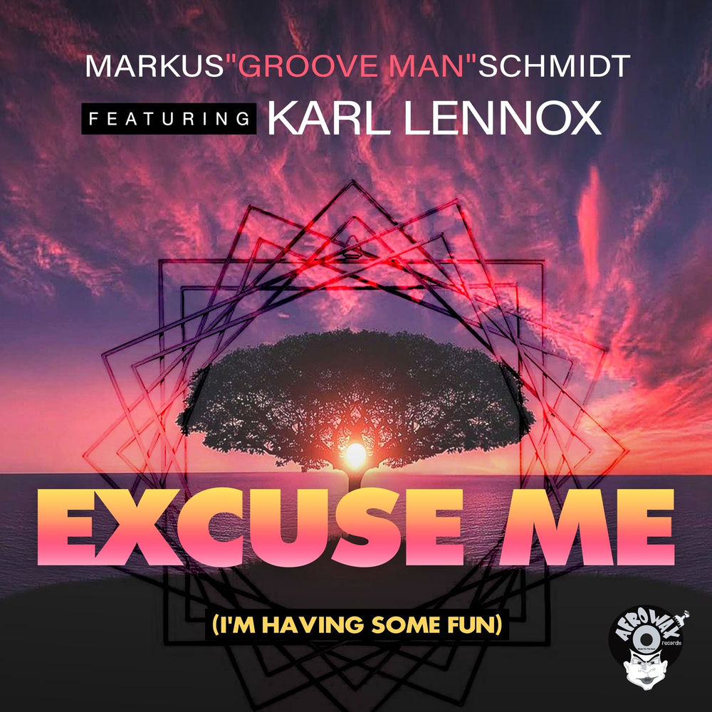 Excuse Me (I'm Having Some Fun) cover