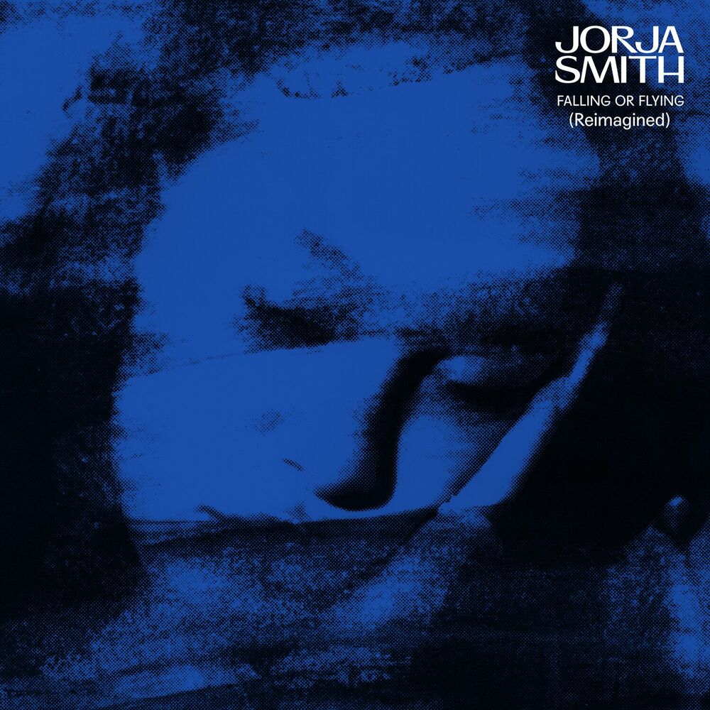 falling or flying (Reimagined) [VINYL] cover