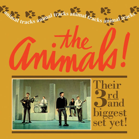 Animal Races cover