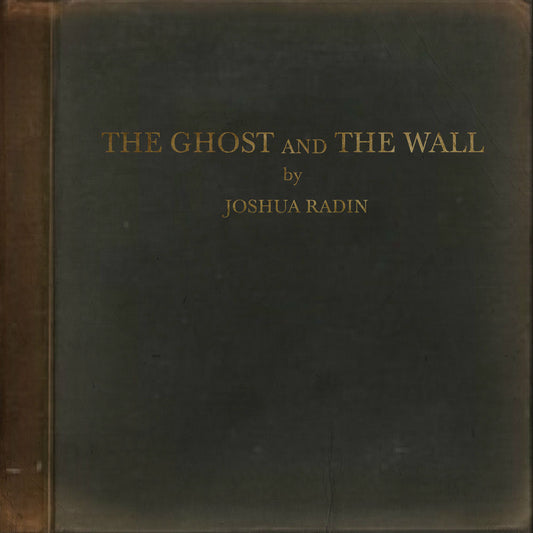 The Ghost and the Wall cover