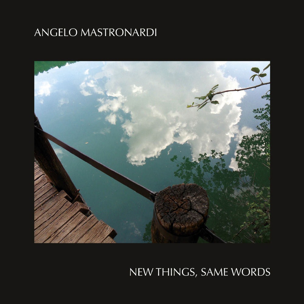 New Things Same Words cover