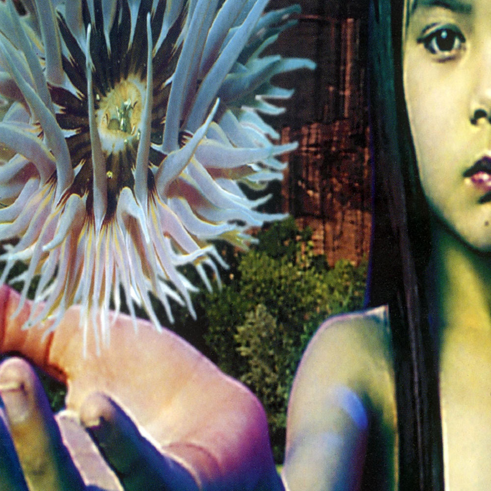 Lifeforms cover