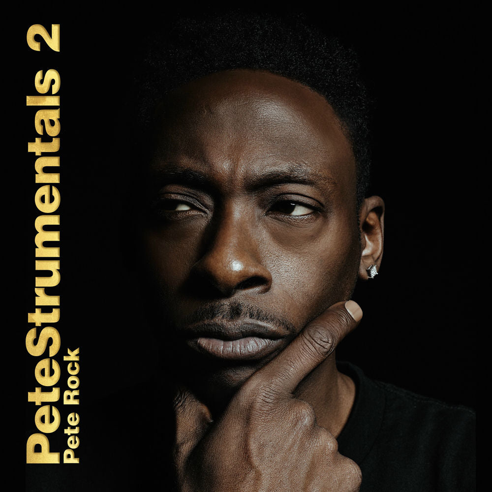 Petestrumentals 2 cover