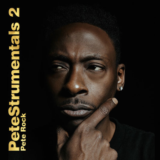Petestrumentals 2 cover