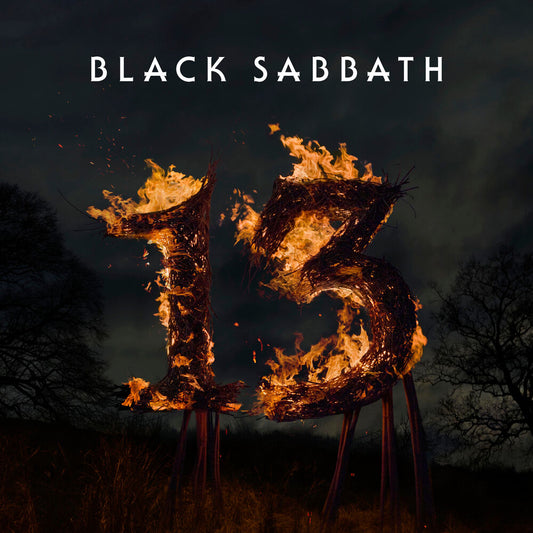 13 [2 LP] cover