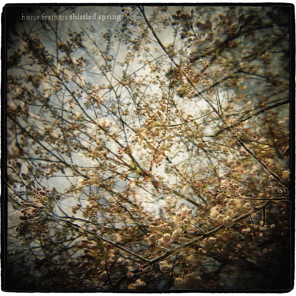 Thistled Spring LP cover