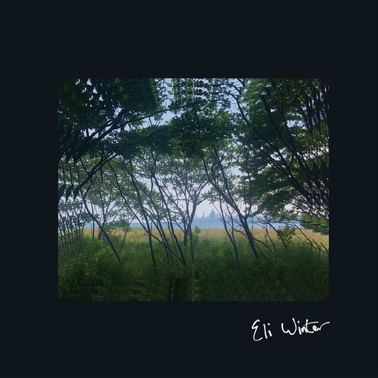 Eli Winter cover