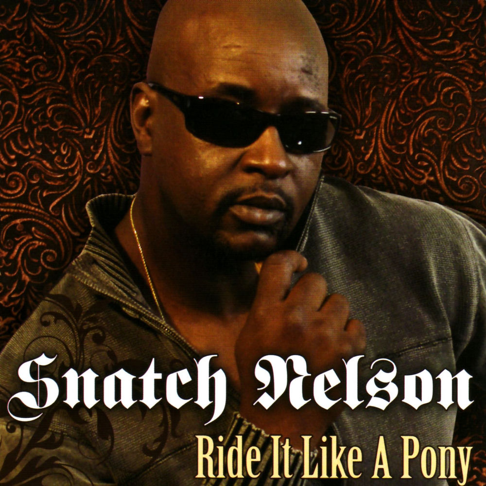 Ride It Like a Pony cover