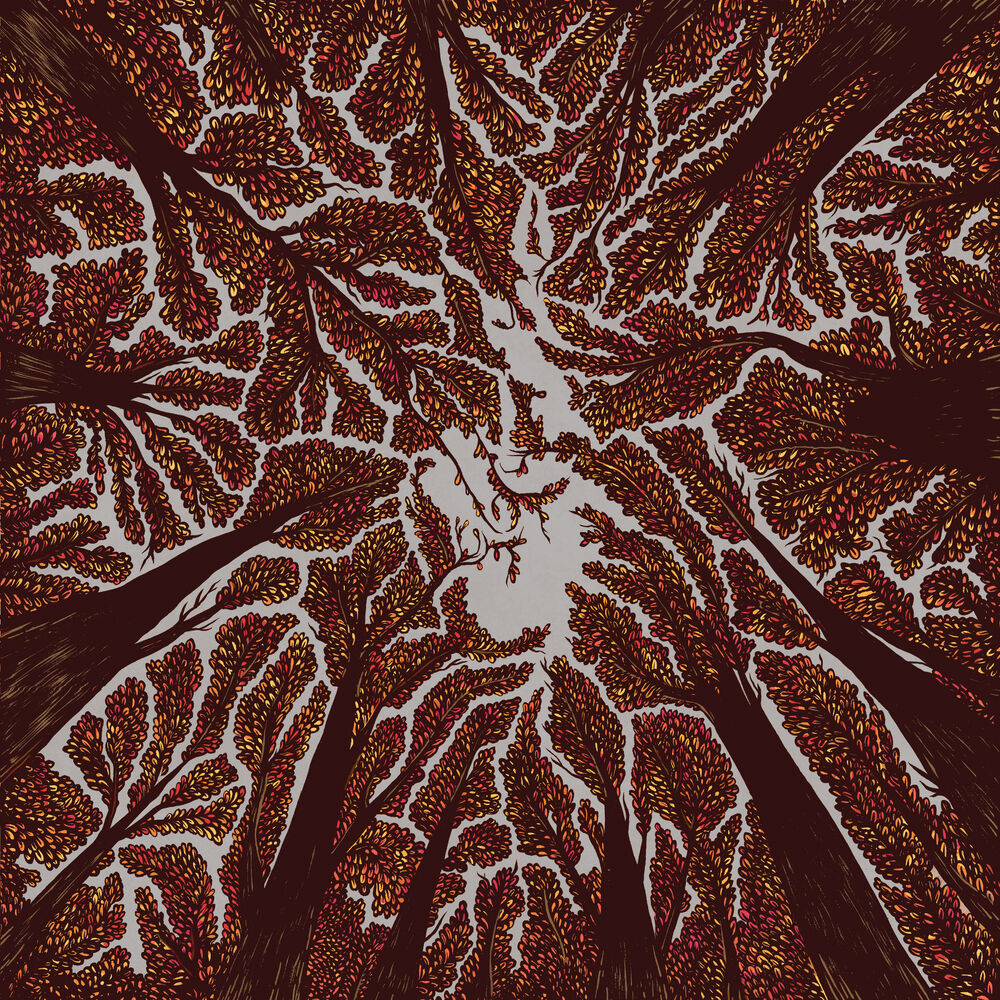 Crown Shyness cover