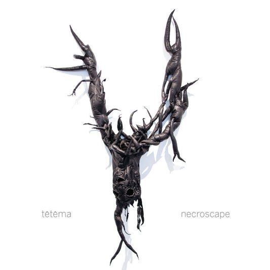 necroscape cover