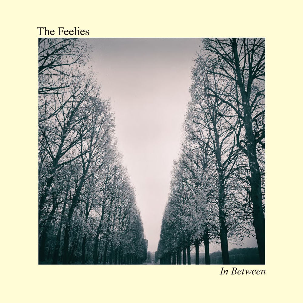 In Between cover
