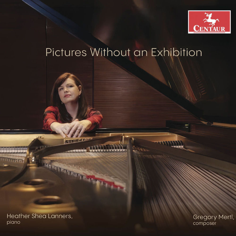 Pictures Without An Exhibition cover
