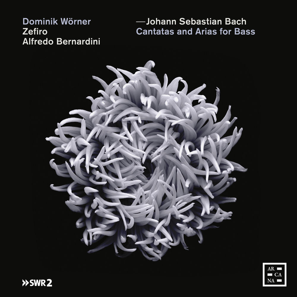 Bass Cantatas & Arias cover