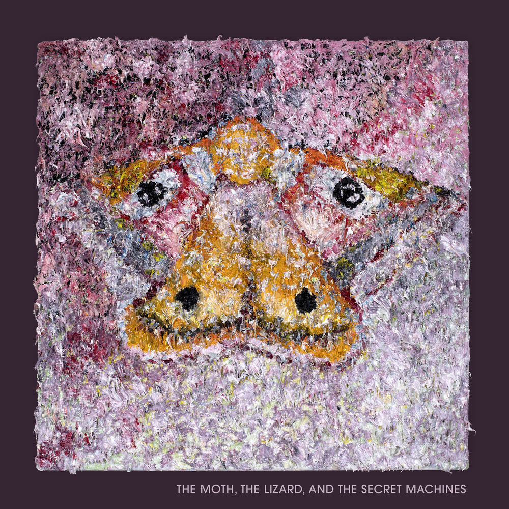 The Moth, the Lizard, and the Secret Machines cover