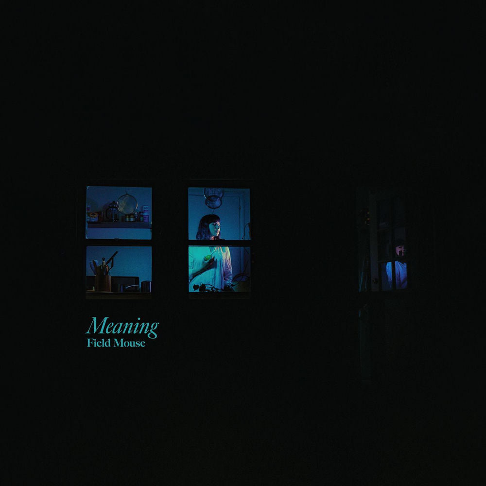 Meaning cover