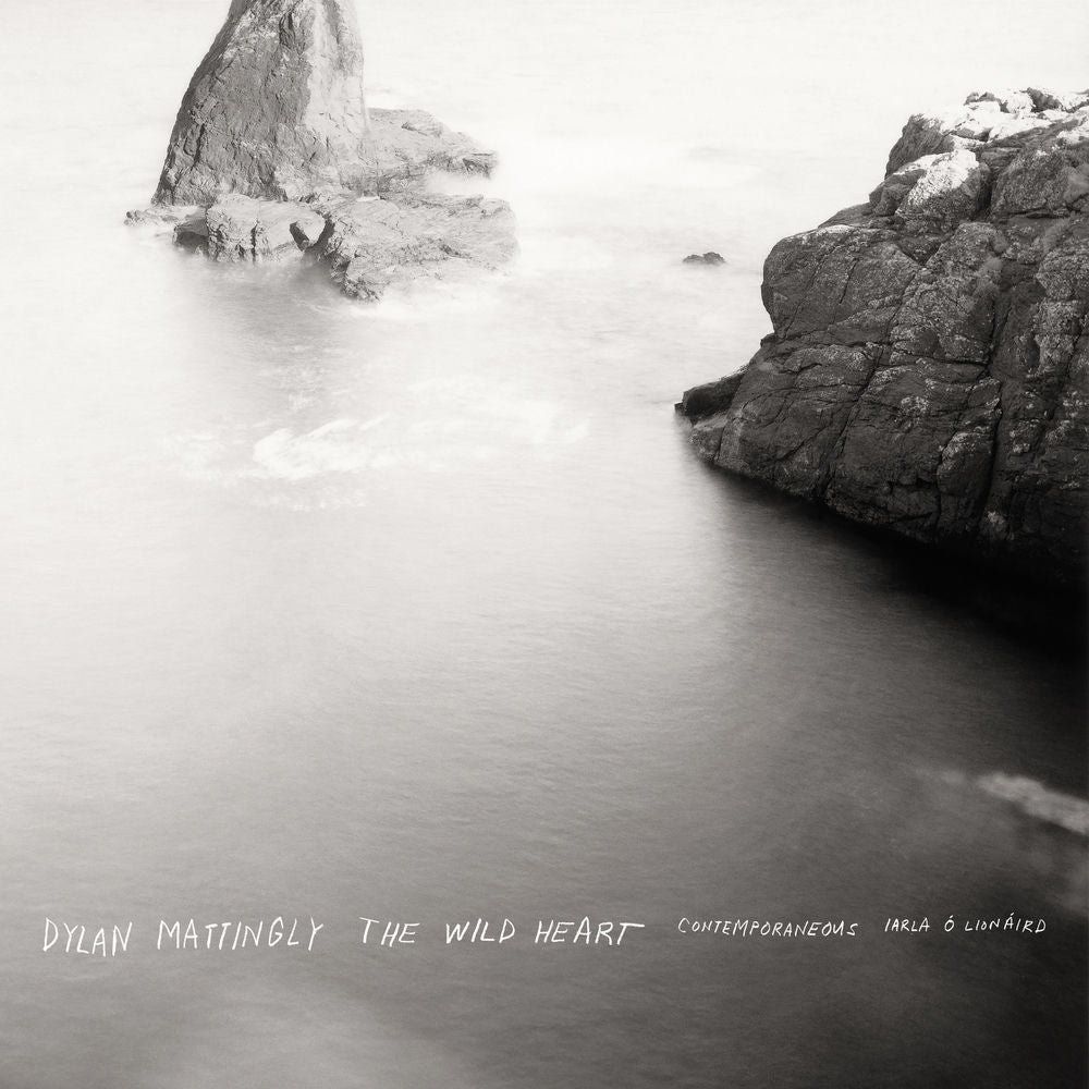 Dylan Mattingly: The Wild Heart (Complete) cover