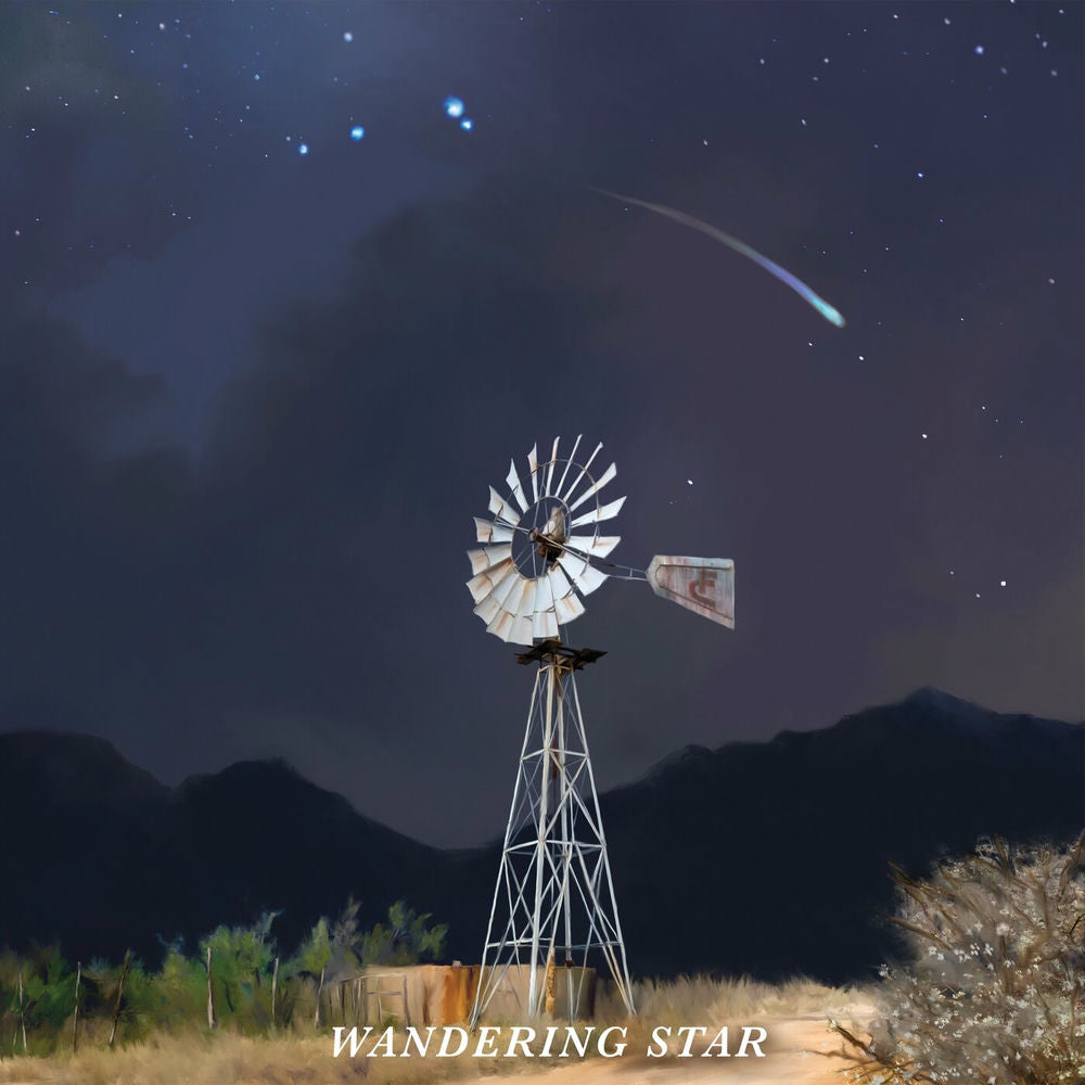 Wandering Star [Dark Water Swirl LP] cover