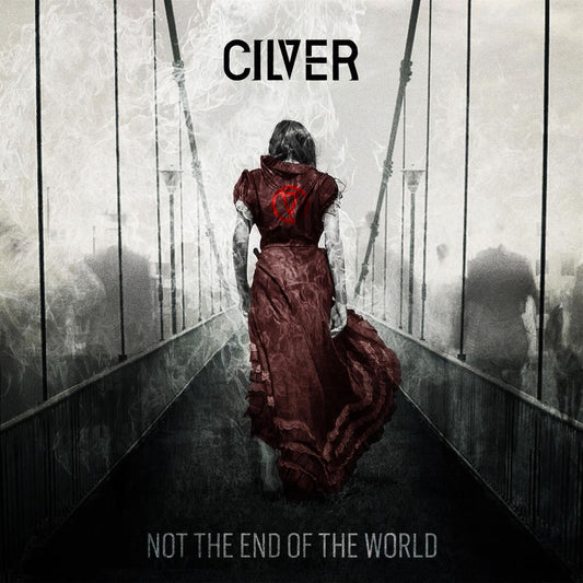 NOT THE END OF THE WORLD cover