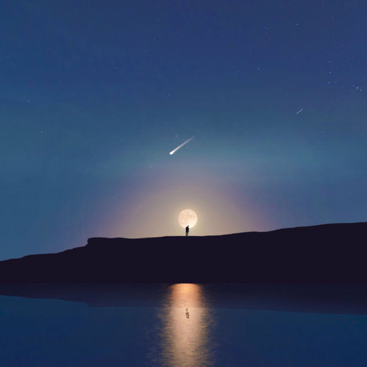 Introspections cover