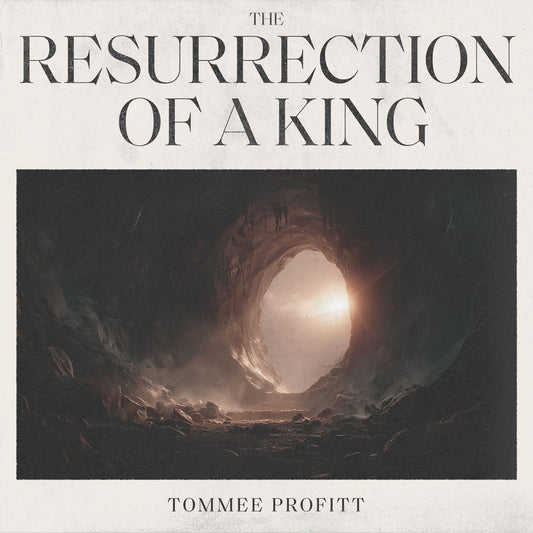 The Resurrection of a King[Rainfall 3 LP] cover