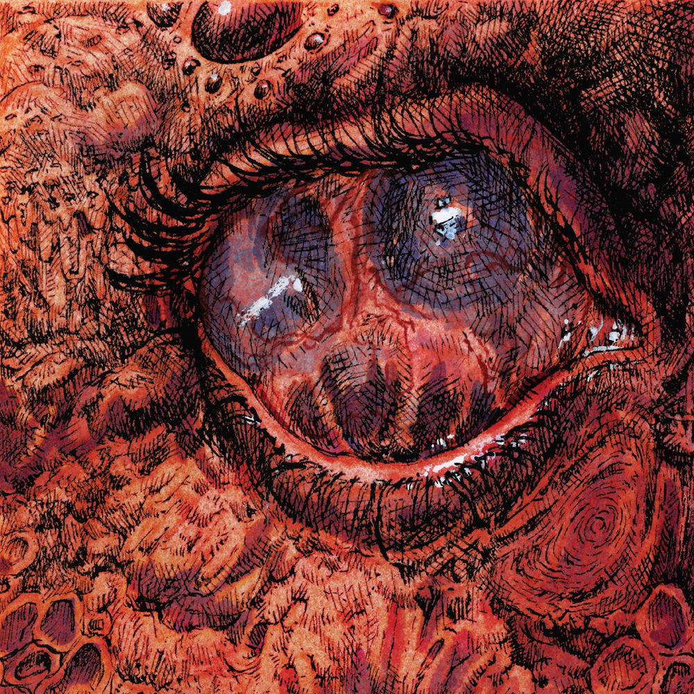 Cruelty Bacchanal cover